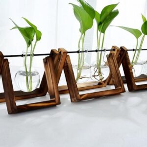 Glass Tabletop Plant