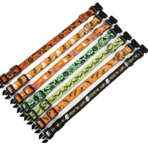 Halloween pet collar